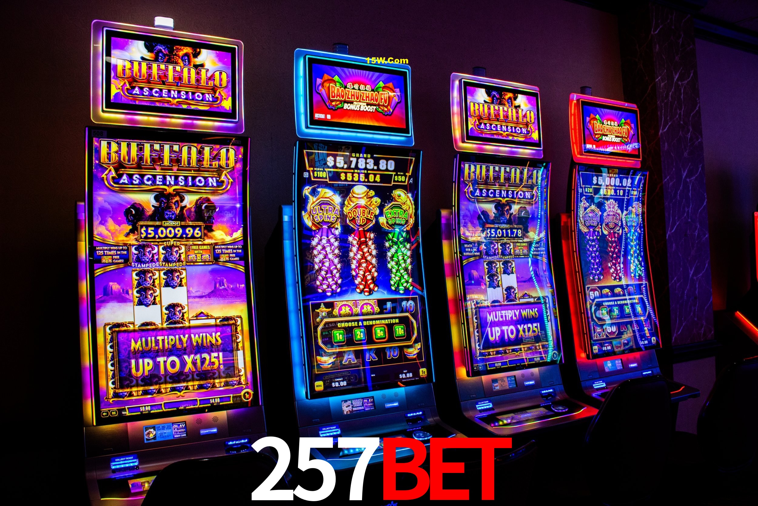 Game Statistics 257Bet